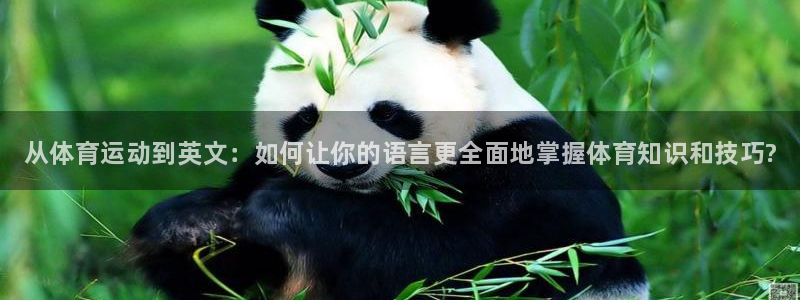 海南oety欧亿体育官网下载：从体育运动到英文：如何