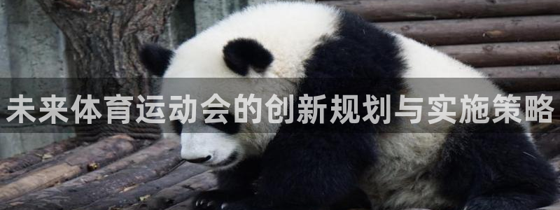 欧亿体育官方正版app娱乐平台：未来体育运动会的创新规划与实