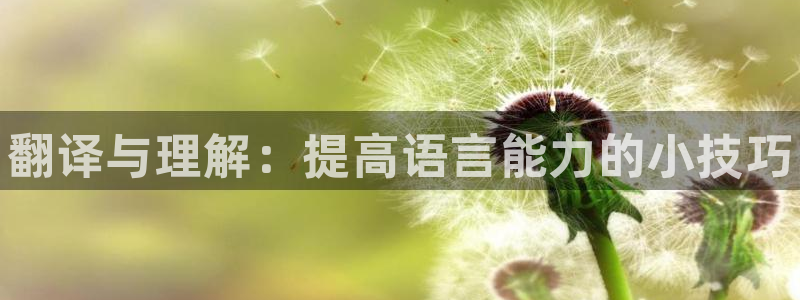 oety欧亿体育官网下载开户：翻译与理解：提高语言能