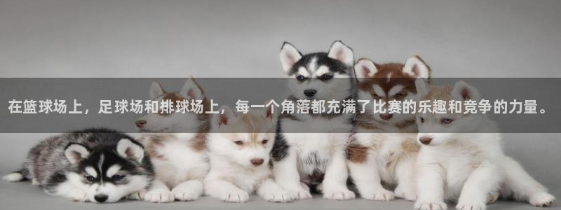 oety欧亿体育官网下载招商电话是多少号码：在篮球场上，足球