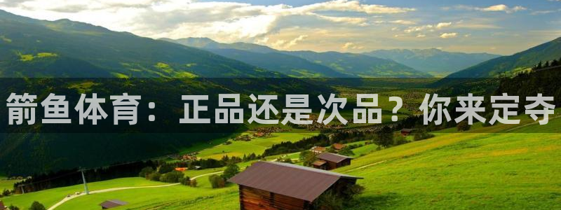 欧亿体育官方正版app集团logo：箭鱼体育：正品还