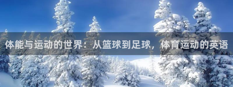 oety欧亿体育官网下载：体能与运动的世界：从篮球到