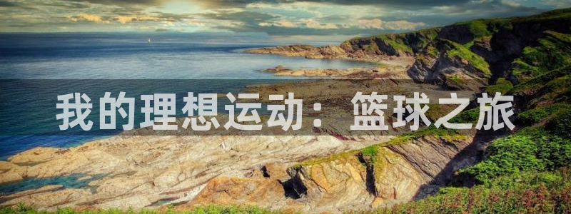oety欧亿体育官网下载平台注册：我的理想运动：篮球