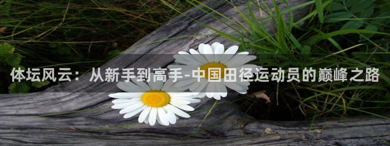 欧亿体育官方正版app代理：体坛风云：从新手到高手-中国田径