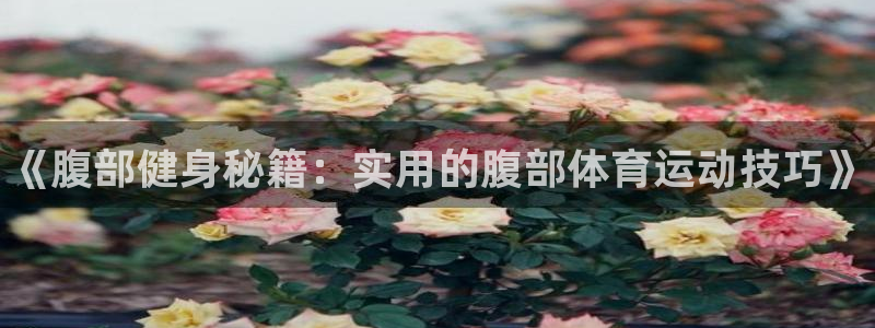 德国欧亿体育官方正版app集团：《腹部健身秘籍：实用的腹部体