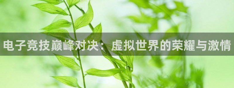 欧亿体育官方正版app娱乐40996：电子竞技巅峰对