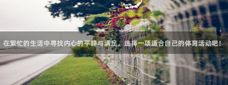 欧亿体育官方正版app娱乐首页官网下载：在繁忙的生活中寻找内