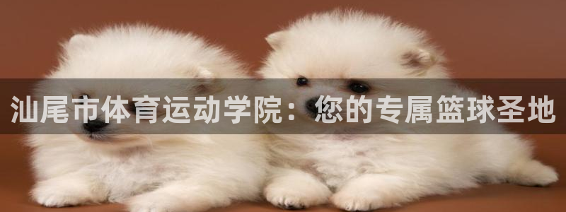 oety欧亿体育官网下载招商电话：汕尾市体育运动学院：您的专
