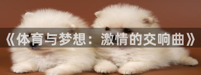 德国欧亿体育官方正版app集团：《体育与梦想：激情的交响曲》
