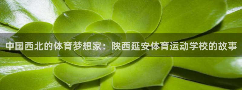 欧亿体育官方正版app娱乐下载：中国西北的体育梦想家：陕西延