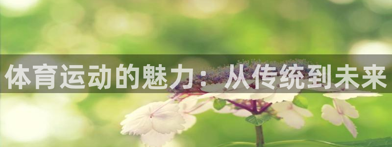 oety欧亿体育官网下载平台注册流程图：体育运动的魅