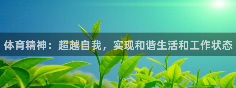 oety欧亿体育官网下载招商电话号码查询是多少