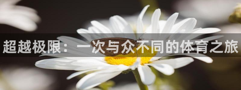 oety欧亿体育官网下载招商电话号码查询是多少：超越极限：一