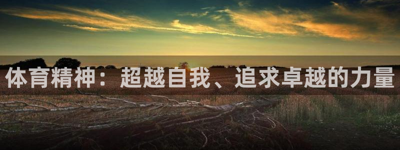 欧亿体育官方正版app官网：体育精神：超越自我、追求卓越的力