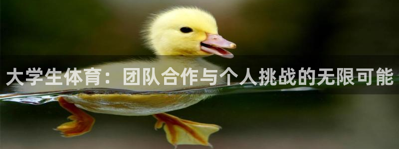 oety欧亿体育官网下载平台APP：大学生体育：团队合作与个