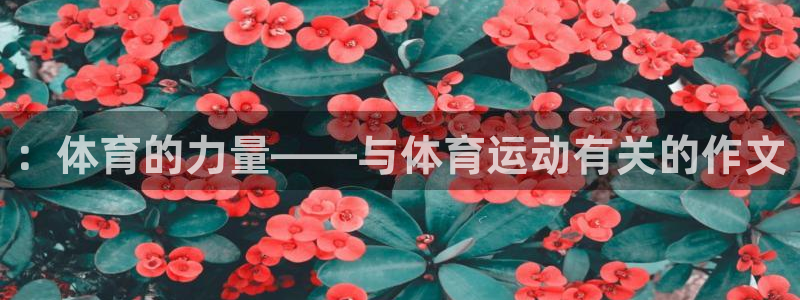 oety欧亿体育官网下载招商电话号码查询：：体育的力量——与
