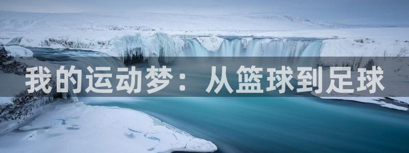欧亿体育官方正版app娱乐平台：我的运动梦：从篮球到