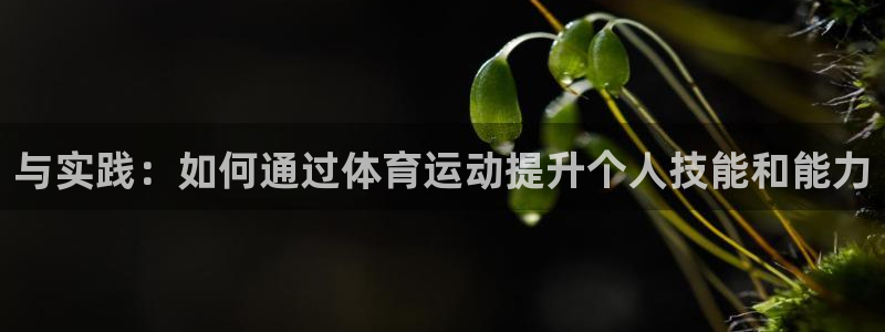 oety欧亿体育官网下载平台是正规平台吗