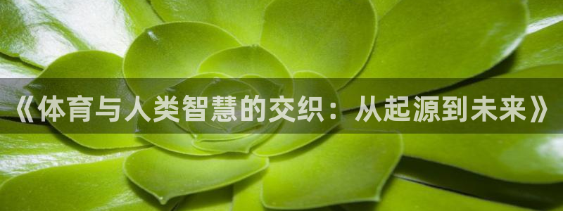 欧亿官网入口：《体育与人类智慧的交织：从起源到未来》