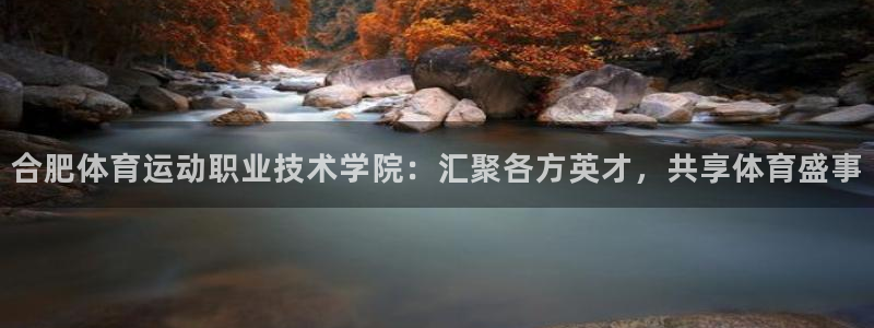 欧亿平台在线登陆注册：合肥体育运动职业技术学院：汇聚各方英才