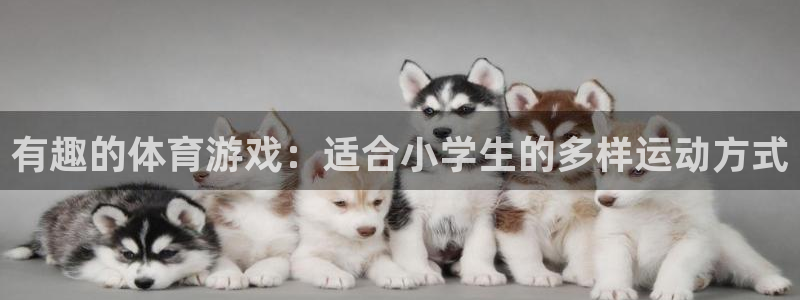 OE欧亿APP下载：有趣的体育游戏：
