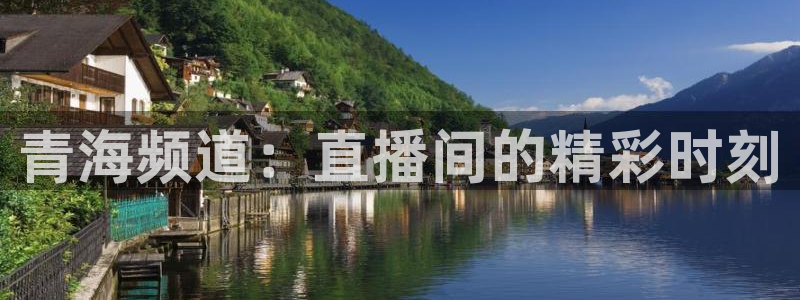 88看球直播：青海频道：直播间的精彩时刻
