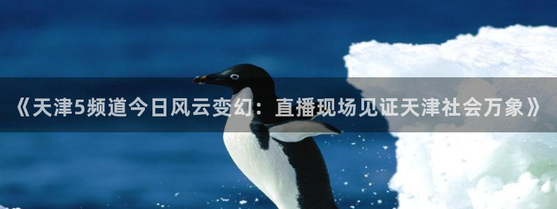 88看球网nba在线直播观看：《天津5频道今日风云变幻：直播现场见证天津社会万象》